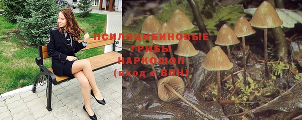 гидра Ростов