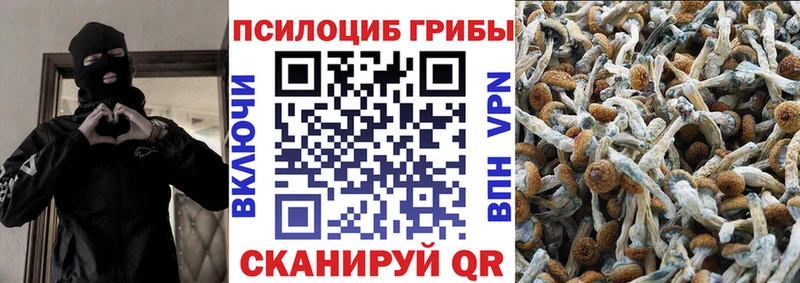 Галлюциногенные грибы мицелий  Бодайбо 